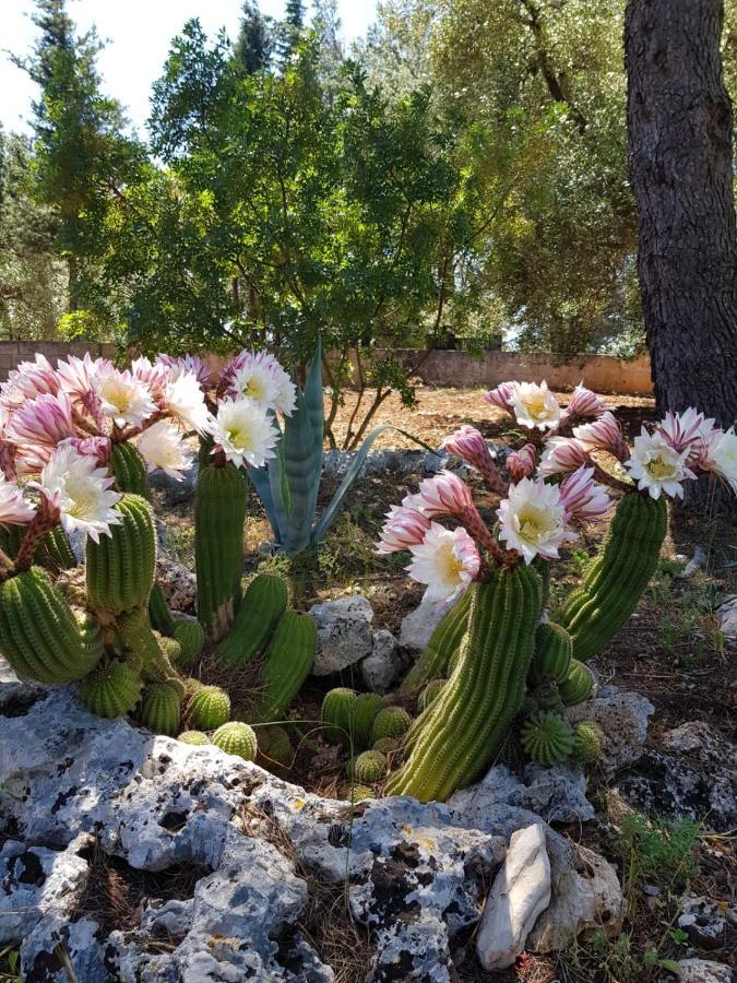 Trulli Di Spinaruta Bed & Breakfast Grottaglie Eksteriør bilde