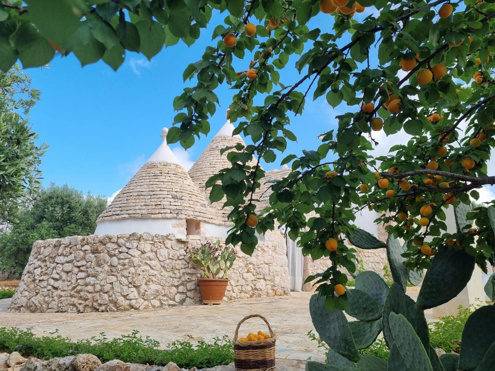 Trulli Di Spinaruta Bed & Breakfast Grottaglie Eksteriør bilde